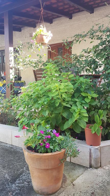 Apartment Ecio バニョレ エクステリア 写真